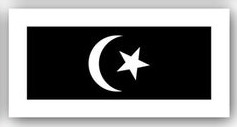 Terengganu Flag